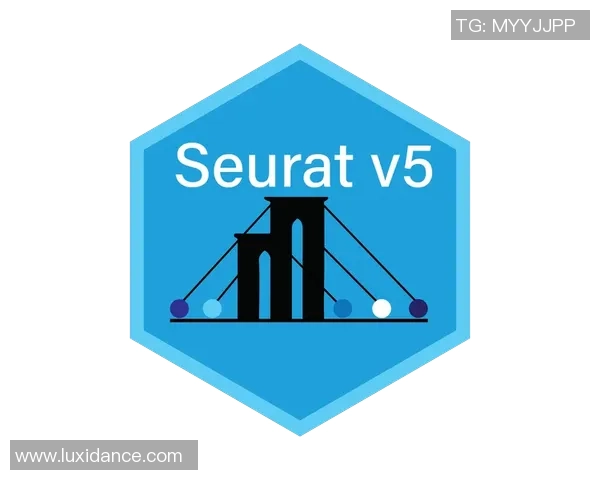 数据分析：V5的力量表现